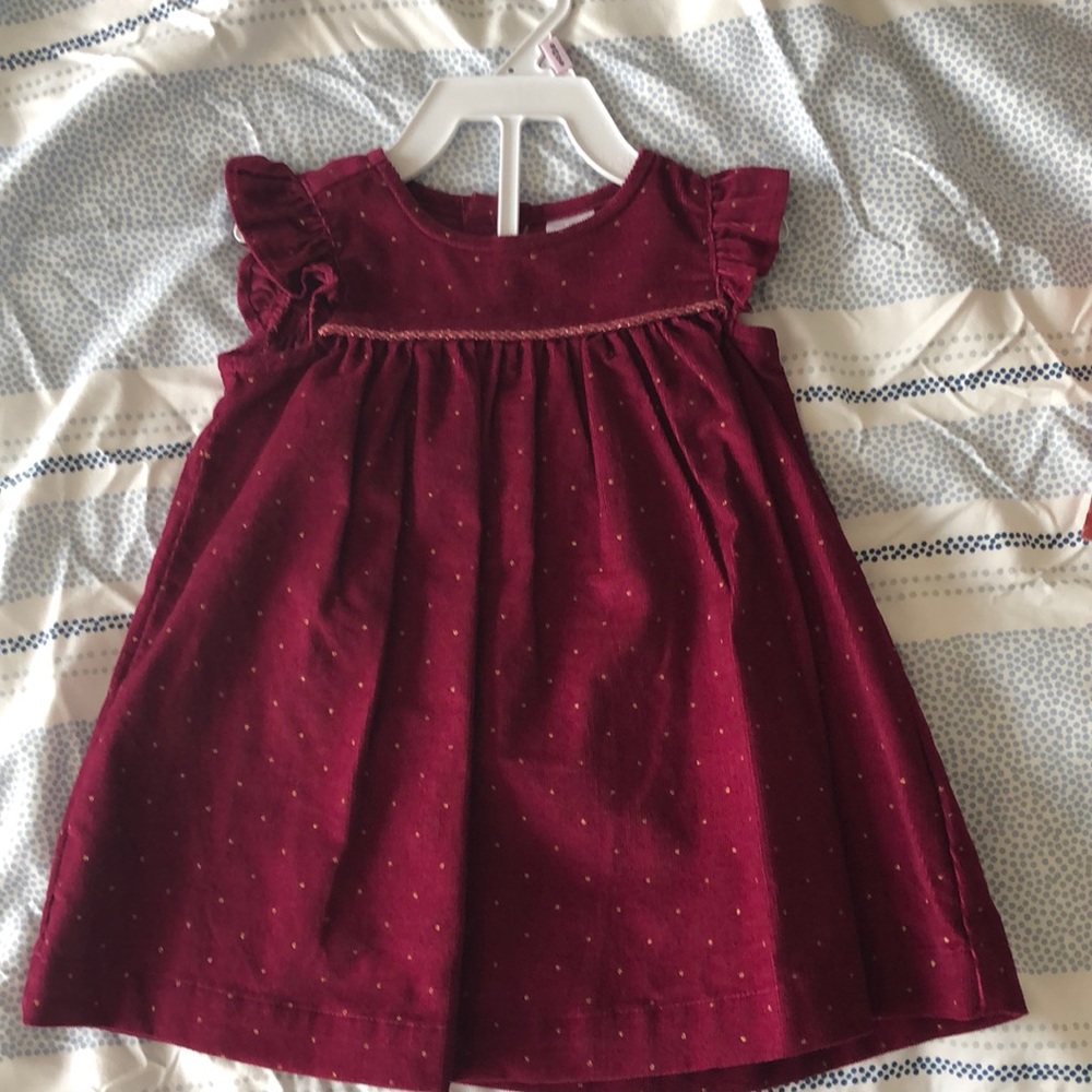 NWT Carter’s Corduroy Dress